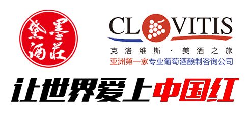 當代咨詢視角下，成功紅集團如何借助企業管理咨詢實現轉型升級