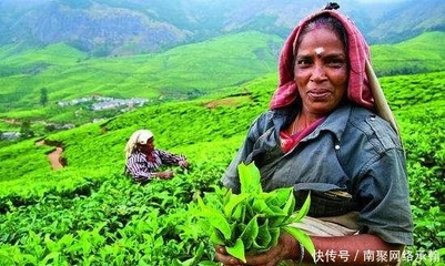 明朝曾經干掉荷蘭艦隊,令昔日超級大國的如意算盤落空96
